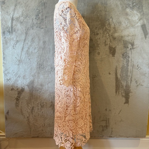 Romantic Rosette Coquette Lace Embroidered Elegant Pink Dress Sz 8 - Picture 6 of 12